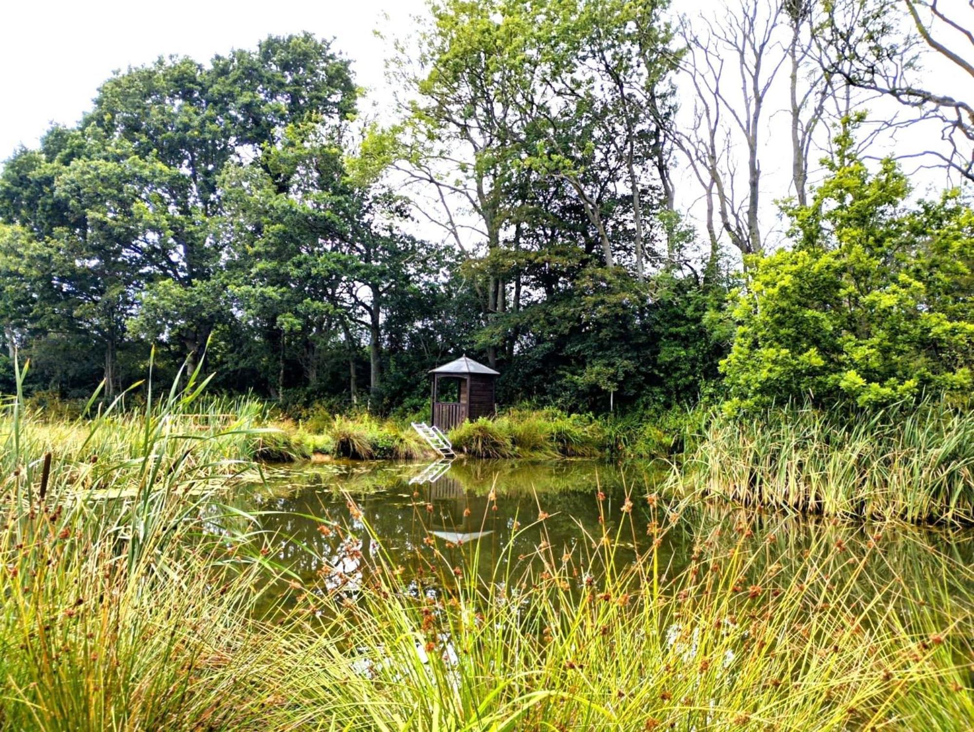 Charming Tranquil Shepherds Hut With Lakeside Balcony 'Roach' Uckfield Buitenkant foto
