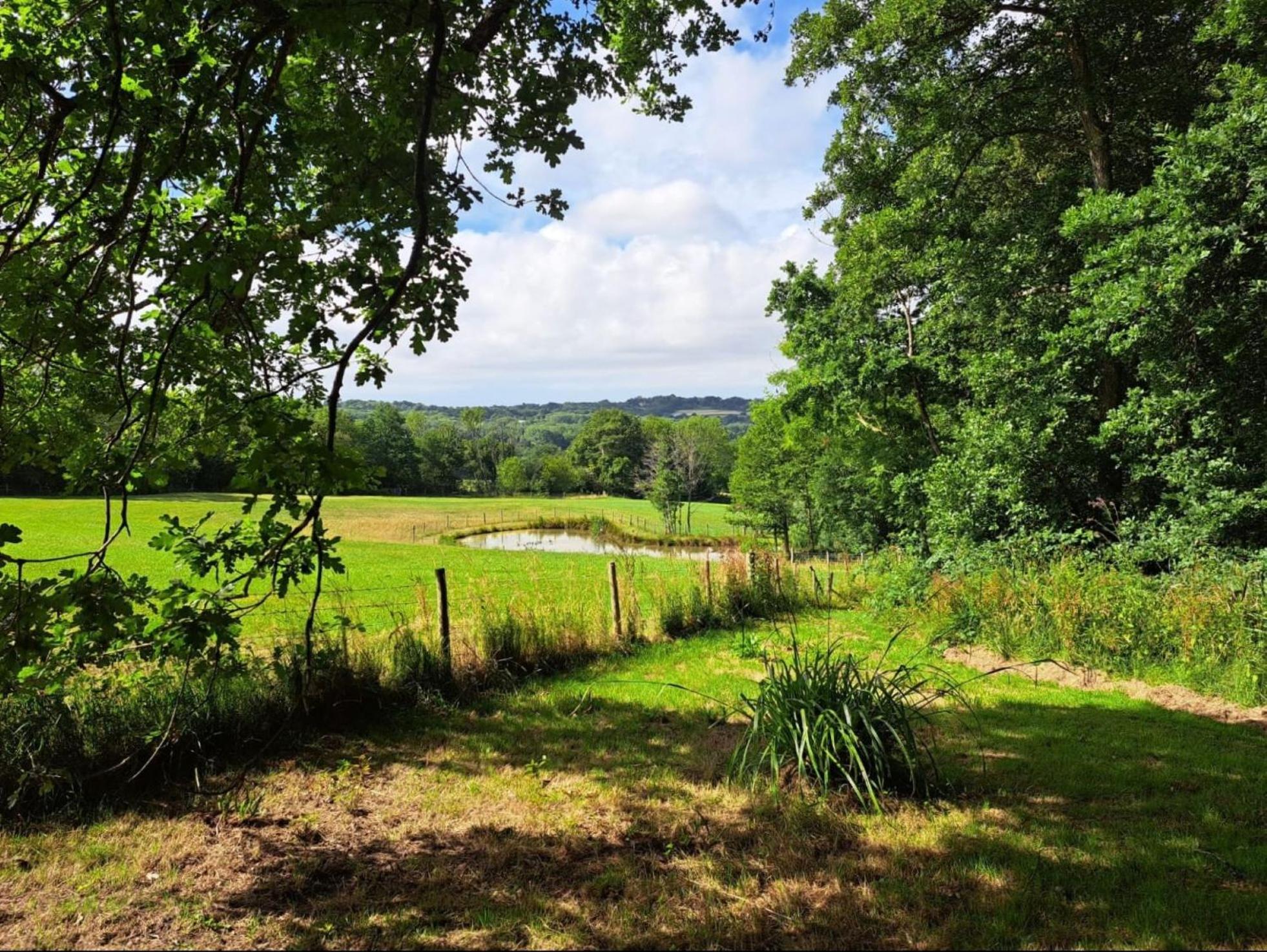 Charming Tranquil Shepherds Hut With Lakeside Balcony 'Roach' Uckfield Buitenkant foto
